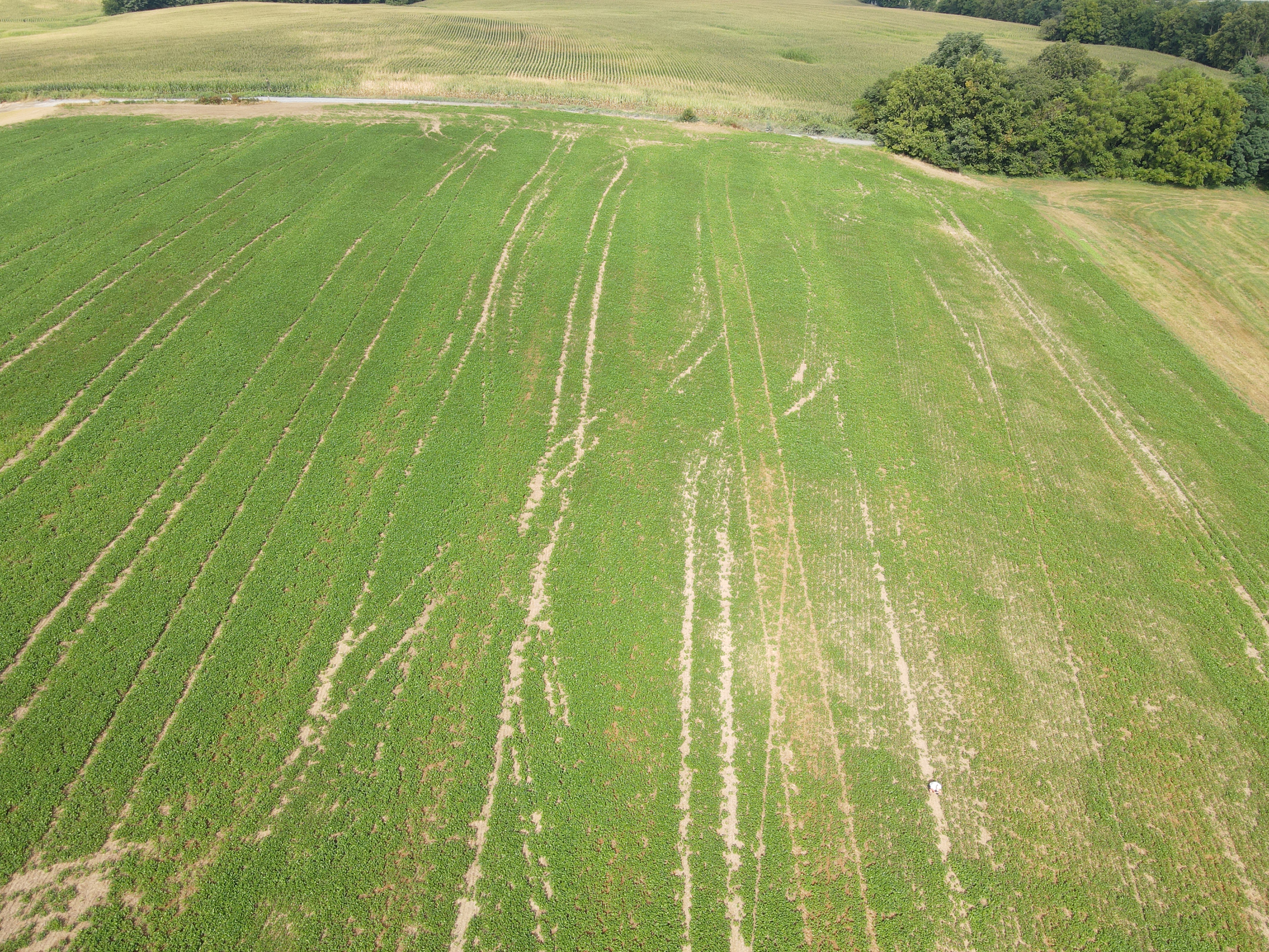 18.42 ACRE MOUNT JOY BARE GROUND