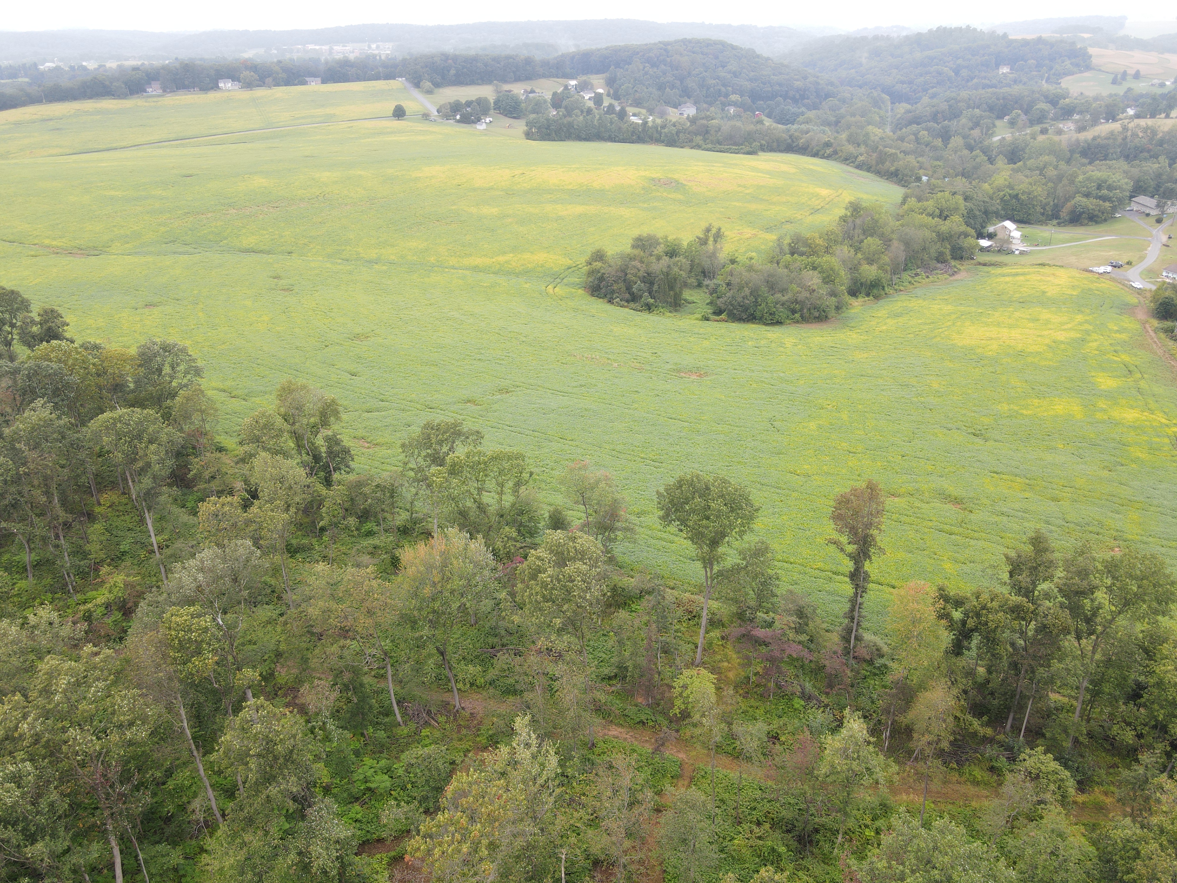 RAILROAD 111+ ACRE PROPERTY