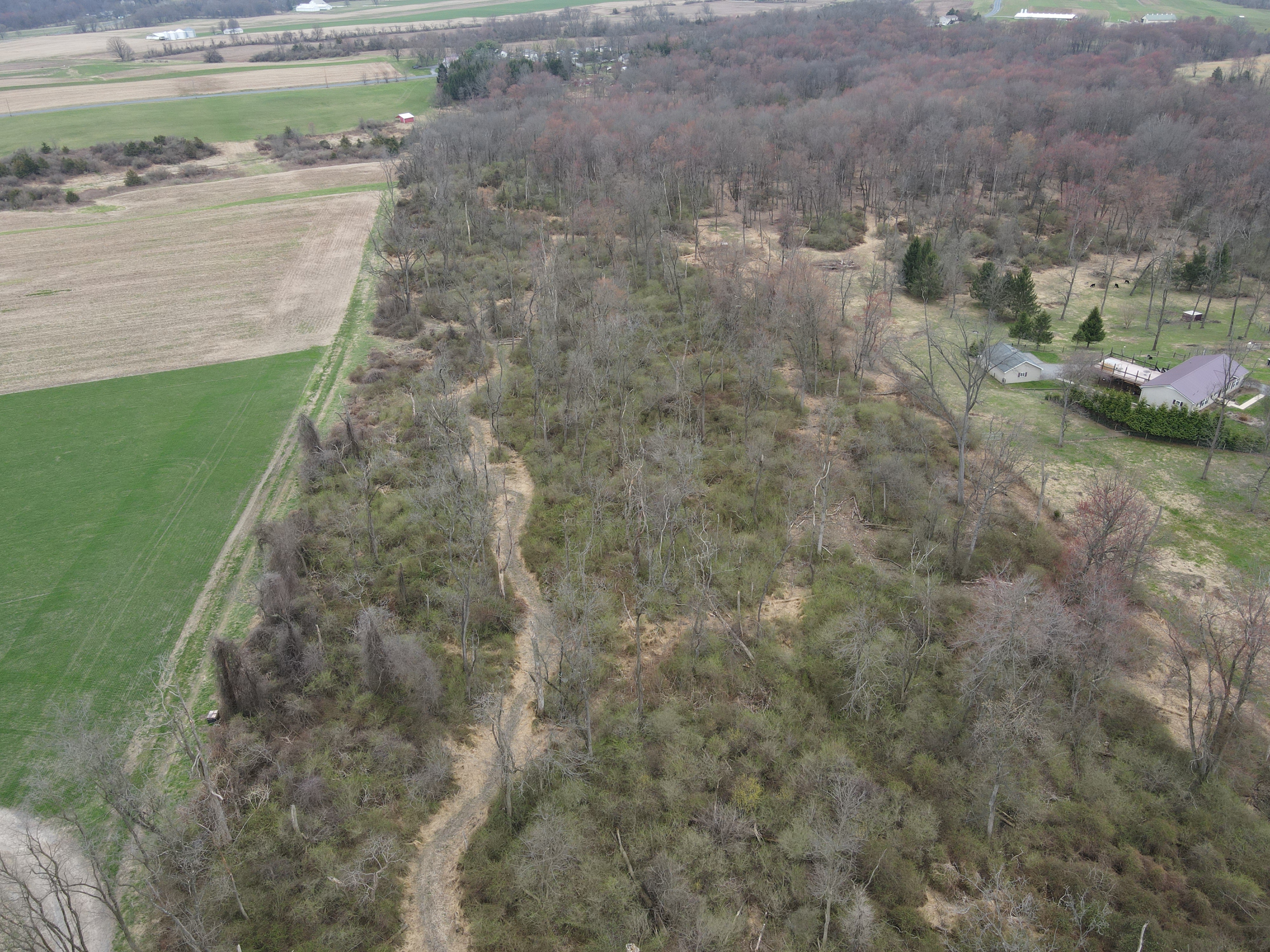 BUILD YOUR VISION – BAREGROUND PALMYRA